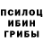 Галлюциногенные грибы ЛСД Anny Aristocrat