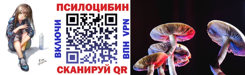 Псилоцибиновые грибы Cubensis  Озёры 